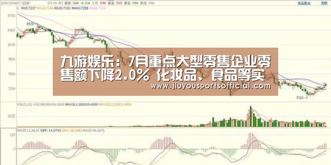 九游娱乐:7月重点大型零售企业零售额下降2.0% 化妆品、食品等实现增长(图4) 九游娱乐:7月重点大型零售企业零售额下降2.0% 化妆品、食品等实现增长(图4)